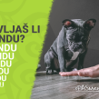 Da li stalno moraš da ponavljaš komandu svom psu?