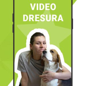 Interaktivna ONLINE dresura pasa "GoDoG VIDEO dresura"
