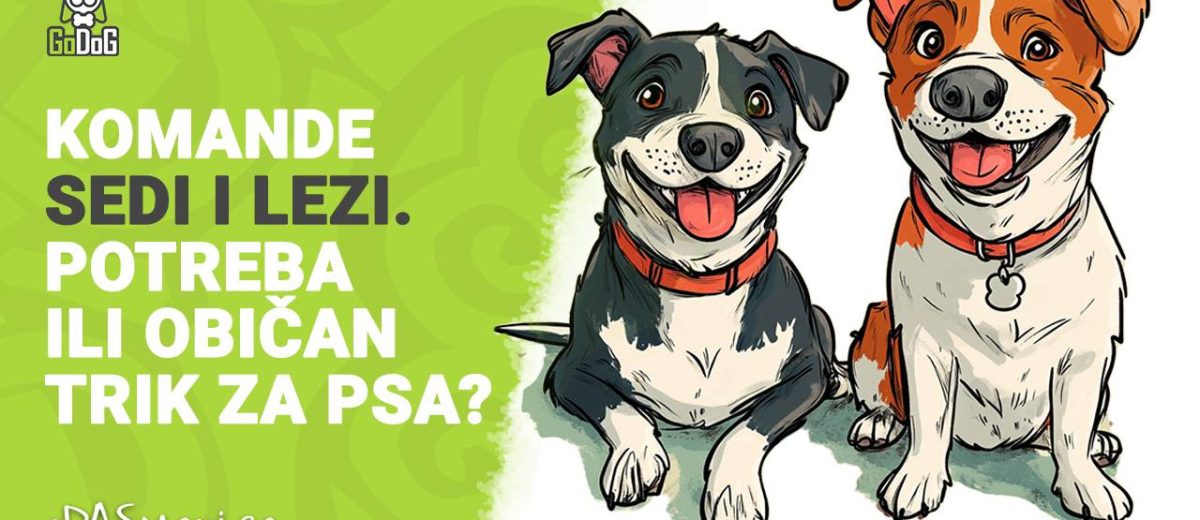Komande “SEDI & LEZI” – potreba ili nepotrebni trikovi za psa?