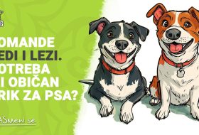 Komande “SEDI & LEZI” – potreba ili nepotrebni trikovi za psa?