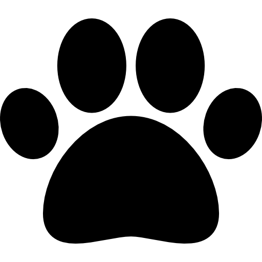 Asistencija naših pasa