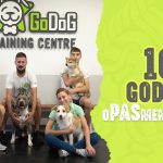 10 godina opasmenjavanja
